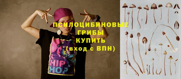 молекула духа Белокуриха
