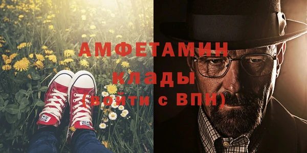 молекула духа Белокуриха