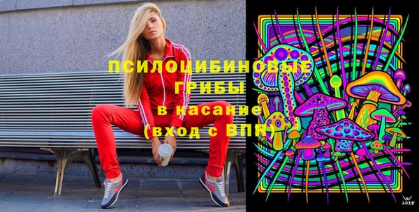 молекула духа Белокуриха