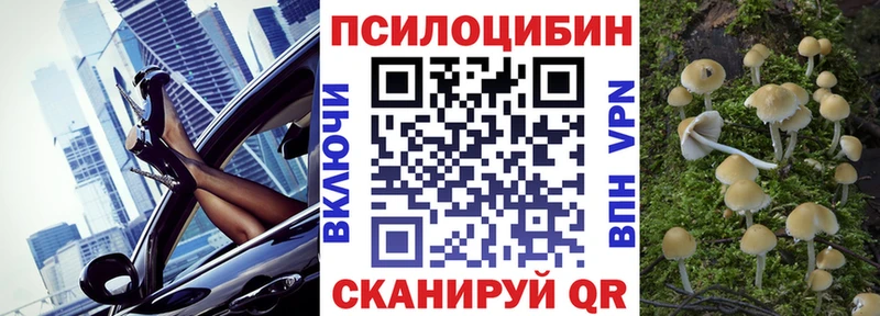 Псилоцибиновые грибы Psilocybe Болотное